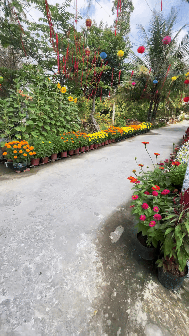 Kịch bản Tết của người miền Tây, cả nước choáng- Ảnh 11. Kịch bản Tết của người miền Tây, cả nước choáng- Ảnh 11.