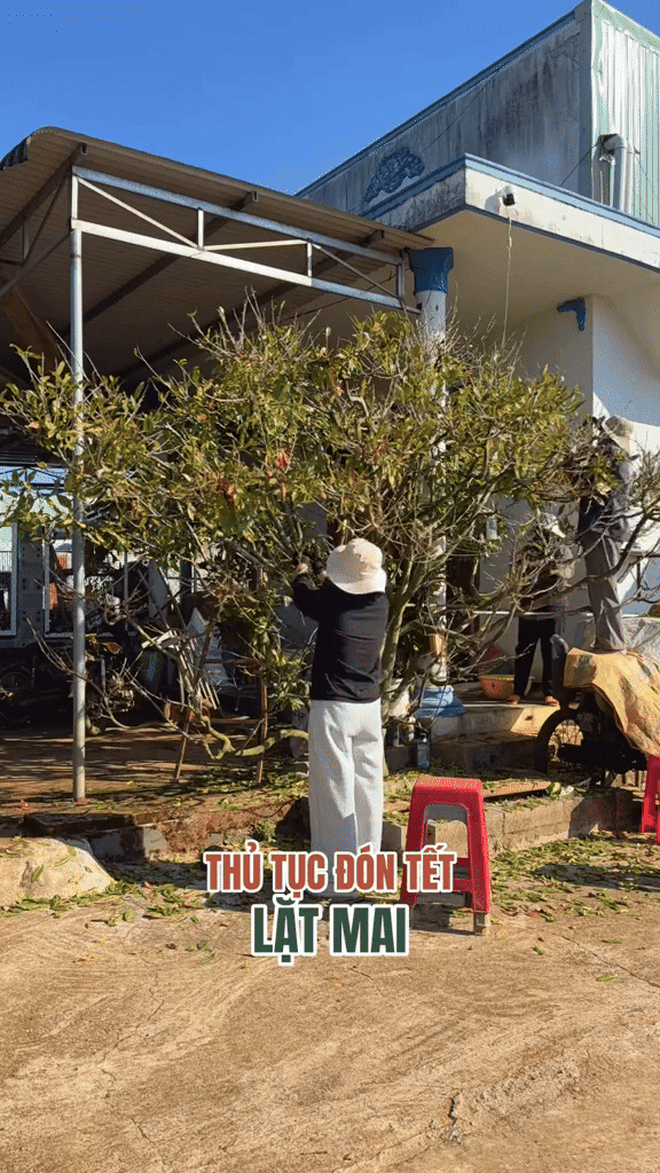 Kịch bản Tết của người miền Tây, cả nước choáng- Ảnh 8. Kịch bản Tết của người miền Tây, cả nước choáng- Ảnh 8.