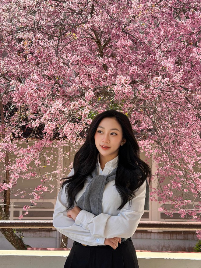 Đang phát điên vì hoa mai anh đào Đà Lạt!- Ảnh 10.