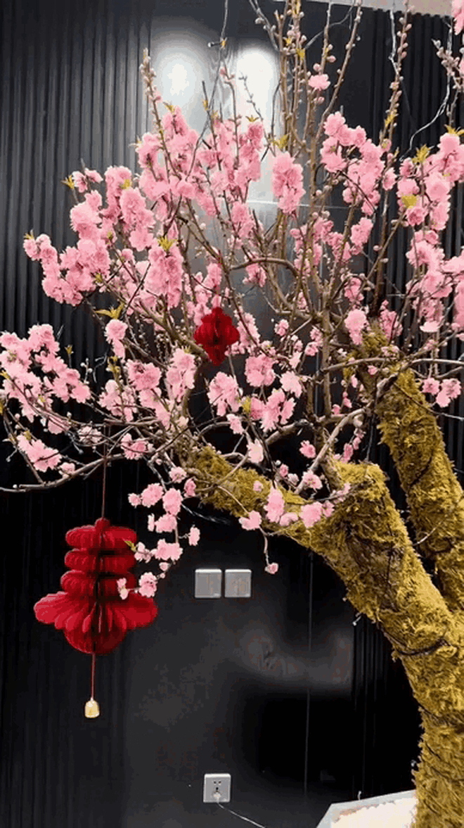 Tết không chưng 5 hoa này cứ thấy thiếu thiếu: Đẹp gì mà đẹp hết phần loài khác, không phải rượu mà lại thấy say- Ảnh 1.