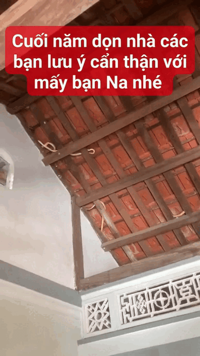 Dọn nhà đón Tết, gia chủ "lạnh sống lưng" khi nhìn thấy cảnh tượng trên mái nhà: Có thể là ám ảnh tới già- Ảnh 2.