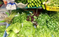 Loại rau tốt bậc nhất thế giới, bổ ngang nhân sâm tổ yến, chợ Việt bán đầy từ 15.000 đồng/kg