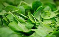 Đi chợ Tết mua rau, thận trọng với 3 loại này, người bán chưa chắc đã dám ăn
