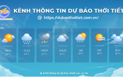 Dubaothoitiet.com.vn chia sẻ API thời tiết cho người dùng cần sử dụng số liệu