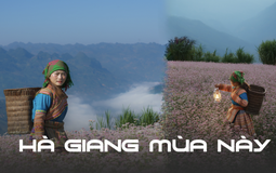 Trời trở lạnh và Hà Giang đã vào mùa đẹp nhất, đi ngay thôi còn do dự là lỡ mất!