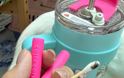 6 thứ tưởng bình thường nhưng bẩn "rợn người" ở ngay trong nhà