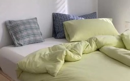 Còn sale là còn gỡ: 12/11 vẫn mua được loạt đồ dùng xịn mà rẻ rề, tranh thủ F5 nhà cửa thôi!