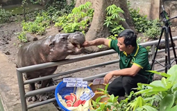 Không ngờ tới những "nhân viên tiêu biểu" đã giúp Thảo Cầm Viên đạt doanh thu trăm tỷ