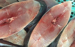 5 loại cá thịt dày, ít xương, bổ như tổ yến: Ra chợ thấy thì nhắm mắt MUA NGAY