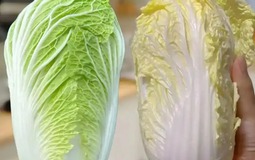 Mua cải thảo, nên chọn "loại xanh" hay "loại vàng"? Người bán rau nói thẳng đáp án