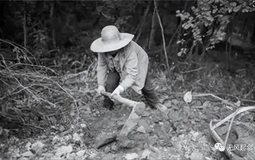 Người nông dân bất ngờ đào được con rắn đen mắt đỏ, chuyên gia một mực khẳng định là rồng: Sự thực là gì?