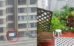 Mua nhà có sân thượng, tôi tưởng sẽ sống như quý cô - ai ngờ chỉ toàn dọn dẹp, tưới cây và lau bụi