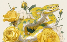 4 con giáp càng bớt so sánh càng dễ sống giàu sang, đủ đầy