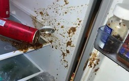 4 thói xấu khi dùng tủ lạnh, âm thầm hại cả sức khỏe lẫn ví tiền: Nhiều người biết nhưng kệ
