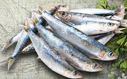 6 loại cá ít "ngậm" thủy ngân nhất, đi chợ nên mua