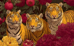 5 con giáp gặp khó khăn trong năm Ất Tỵ, năm Bính Ngọ 2026 lội ngược dòng viên mãn, tiền bạc rủng rỉnh