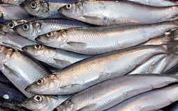 Cá hồi chỉ đứng thứ 3 trong bảng xếp hạng omega 3, loại cá bình dân bán đầy chợ Việt mới là "trùm cuối"