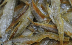 4 loại cá bổ dưỡng lại rẻ tiền, ít xương gần như “không tanh”, ăn một lần là mê