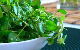 Chợ Việt có loại rau 10.000/bó, là "trùm cuối" chống ung thư được cả thế giới công nhận