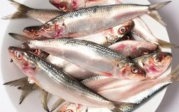 Loại cá nhìn quá đỗi bình thường ở chợ Việt là kho dinh dưỡng, bổ ngang "tổ yến nhân sâm", tiếc rằng ít người biết