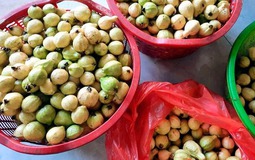 Quả quen mặt ở chợ Việt lọt top "chống oxy hóa tốt nhất thế giới", không mua phí của trời