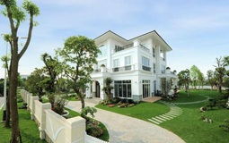 Nhà trồng 4 cây này thì giữ cho kỹ, gia chủ không giàu cũng khó mà nghèo, chặt đi là mất lộc ngay