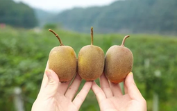 5 loại quả là "kem dưỡng ẩm tự nhiên", cứ ra chợ là thấy: Vừa ngon, giàu dinh dưỡng lại tăng cường miễn dịch