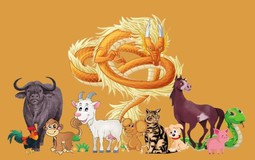 Từ giờ đến Rằm tháng 11 âm có 4 con giáp được cát tinh hỗ trợ, vận đỏ như son, tiền nong rủng rỉnh