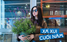 Loài hoa đáng trồng nhất ban công dịp cuối năm: Vừa thơm phòng, ngủ ngon lại âm thầm hút vận may, xả xui cực tốt