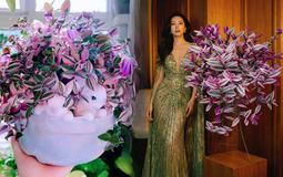 Loài cây "tranh sơn dầu" đang hot rần rần: Vừa rẻ vừa đẹp, đặt đâu sang đó, chưng Tết này là chuẩn bài!