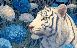 Tử vi ngày mới 26/12: 3 con giáp được Thần Tài "dí tiền vào tay", tình duyên rực rỡ bất chấp trời đông giá rét