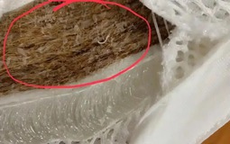 Dù giàu hay nghèo cũng nên sớm nói lời tạm biệt với 5 món đồ độc hại này