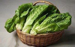 Mùa đông đừng chỉ ăn củ cải: 4 loại “rau vàng” rẻ tiền này mới thực sự bổ gan, đẹp da, tăng đề kháng