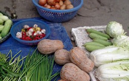 4 loại rau củ ít thuốc trừ sâu bậc nhất