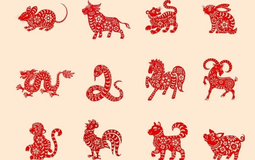 Tử vi tuần mới (từ 29/12 - 4/1): 4 con giáp được quý nhân trợ giúp, vận số đỏ rực, tình tiền viên mãn