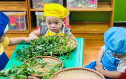 Hoang mang khi giáo viên phản ánh con đi trẻ hay cắn cấu bạn, bố mẹ nên làm gì?