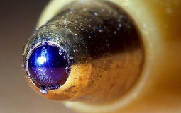 Vì sao trên thế giới chỉ có 4 quốc gia sản xuất được đầu bút bi?