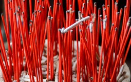 Sai lầm lớn nhất khi tỉa chân hương