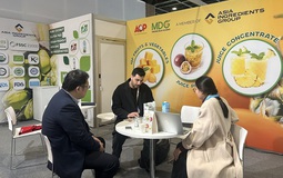 AIG khẳng định vị thế nguyên liệu Việt tại Fi Europe 2025