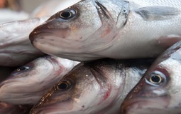 10 mẹo chọn cá tươi người bán không muốn bạn biết