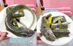 Sợ xanh mặt với thực đơn ăn dặm của 1 mẹ bỉm: Nấu cháo cho con bằng thịt... kỳ nhông