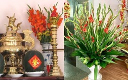 Hoa thắp hương: 7 loại mang ý nghĩa may mắn, 5 loại KHÔNG nên đặt