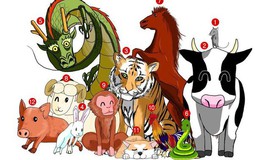 10 ngày nữa sẽ có 2 con giáp gặp thời đổi vận, cuộc sống viên mãn, 1 con giáp lại cần thận trọng