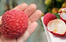 Dấu hiệu nhận biết quả vải bị sâu đầu, chỉ cần liếc mắt nhìn là nhận ra, không ai lừa nổi mình!