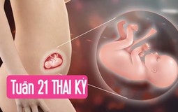 Tuần thai thứ 21: Giác quan của bé phát triển, đã có thể nghe được mẹ nói chuyện