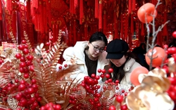 Nhà tôi tiêu 50 triệu cho Tết và phải trả giá bằng 2 tháng thắt lưng buộc bụng sau đó