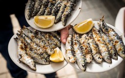 Loài cá được khen "tốt nhất thế giới": Chợ Việt bán chỉ 30.000đ/kg, quanh năm sẵn hàng