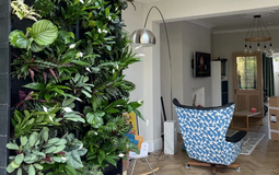 Người xưa dặn: 3 cây nặng âm khí, không nên trồng trong nhà