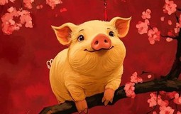 4 con giáp hiếm khi khoe nhưng lại siêu giàu: Ăn nên làm ra, vận may ồ ạt, đặc biệt là top 1