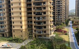 Mua nhà năm 2026: 4 kiểu nhà xem thì mê, nhưng "càng ở càng khóc"